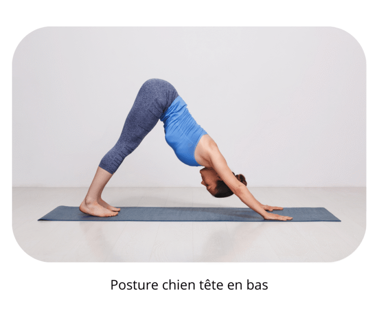 Yoga posture chien tete en bas
